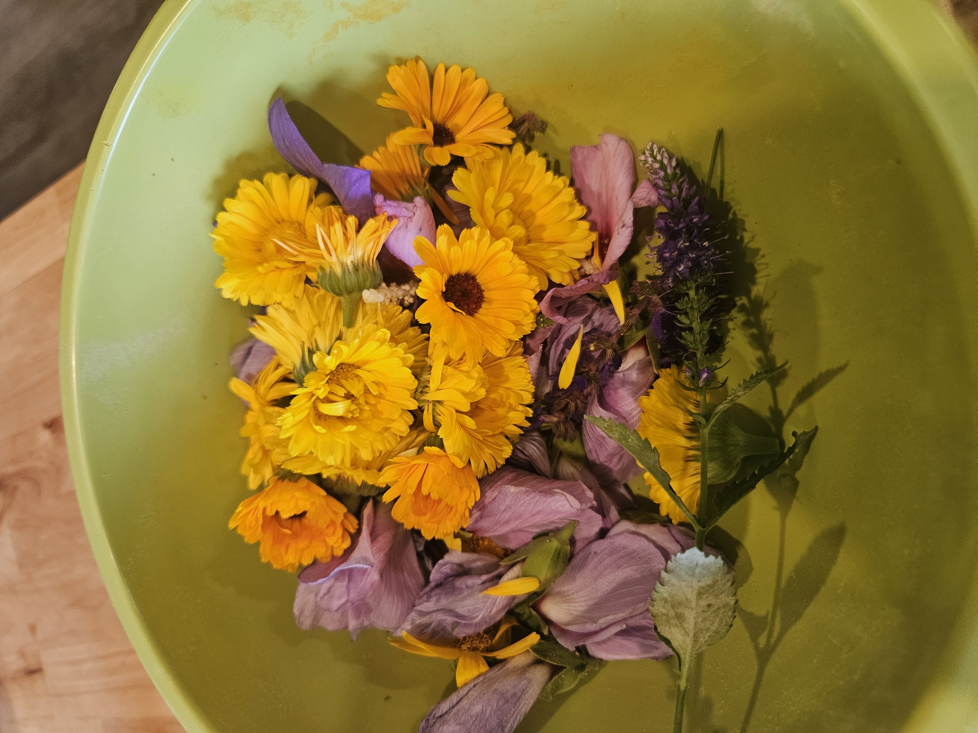 Edible flowers from the garden at Global Village