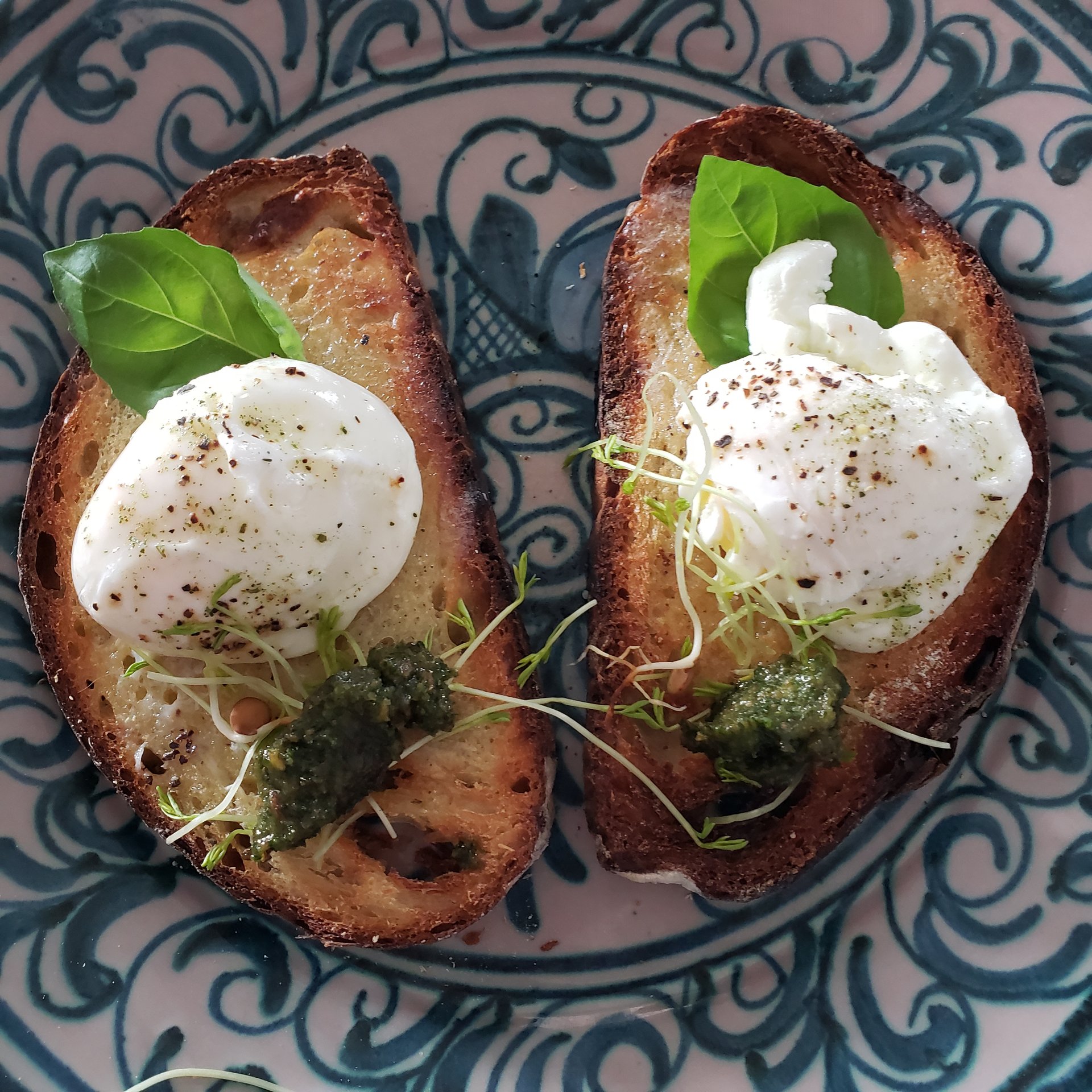 Wild-Foraged Spring Brunch