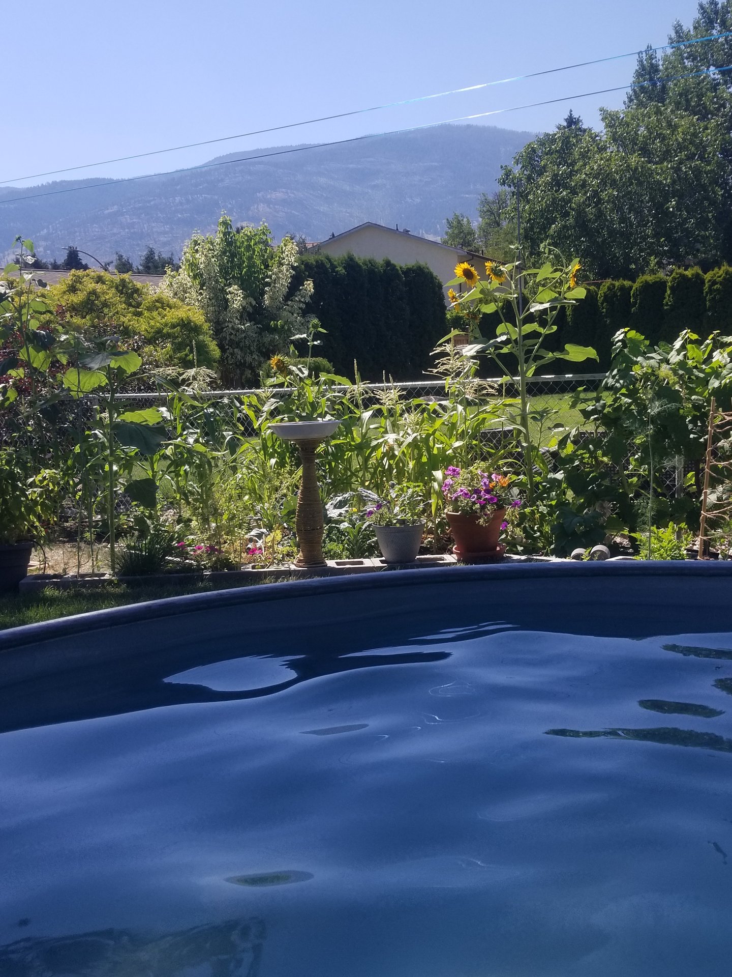 Pool with mountain views