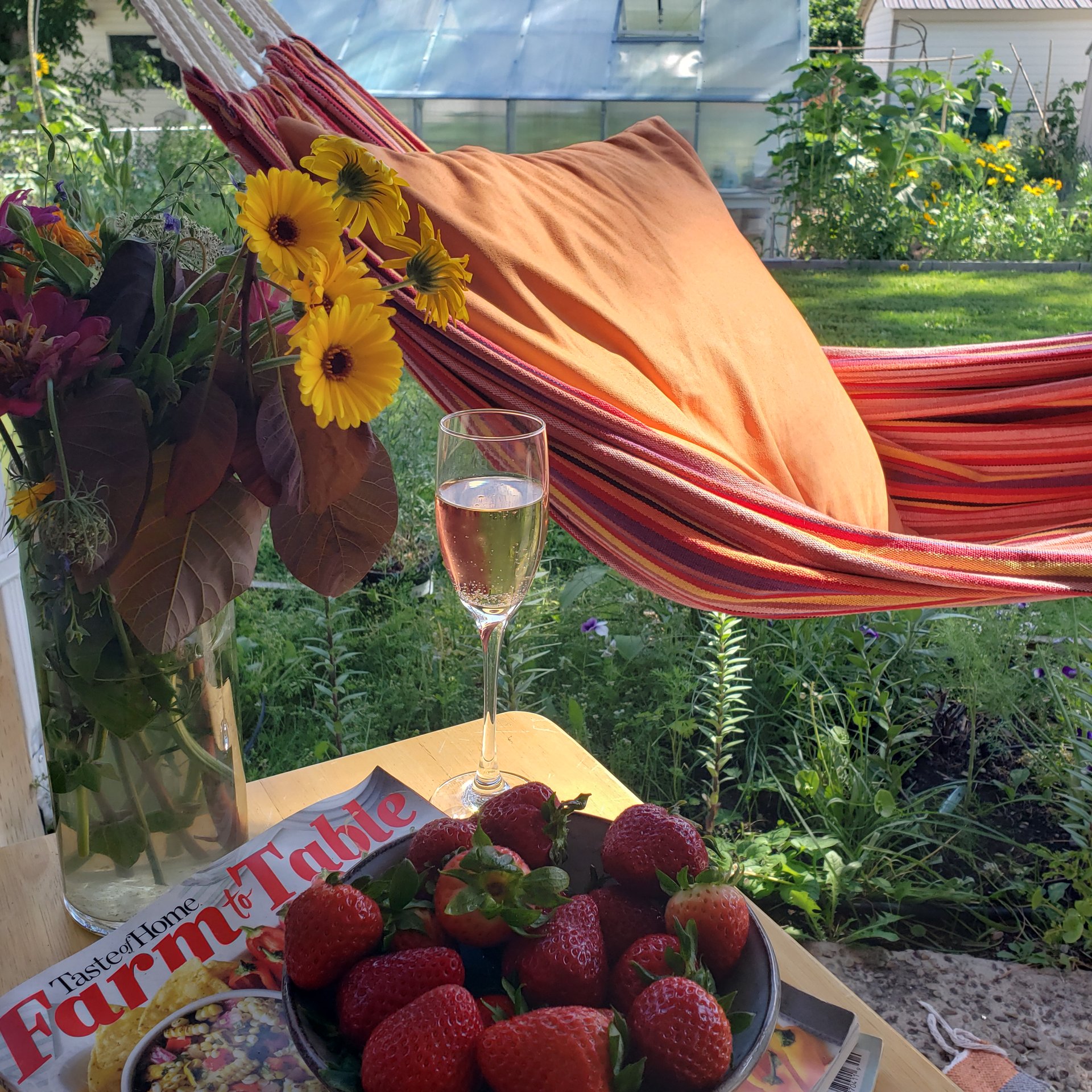 Hammock and patio in the garden